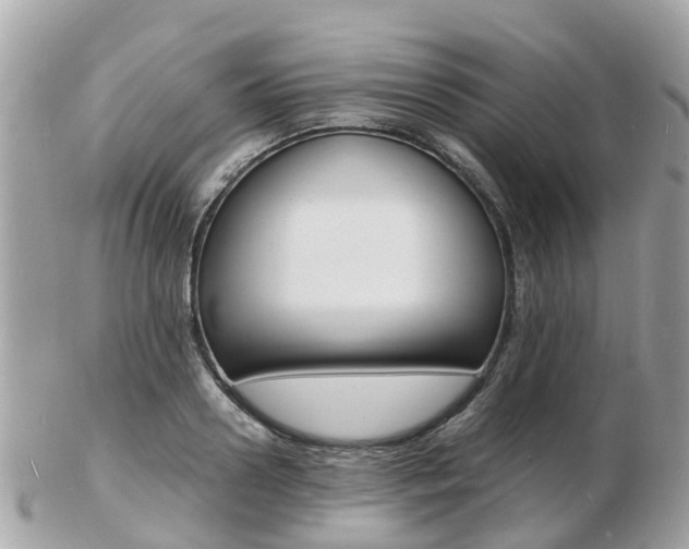 X0000103290938200808291105