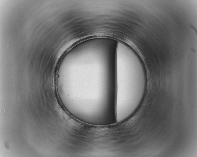 X0000103290939200808291105