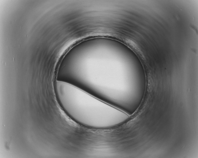 X0000103290942200808291105