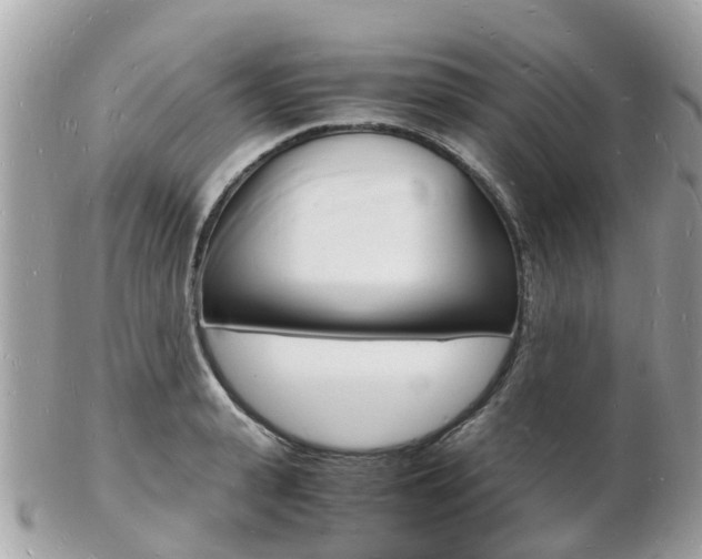 X0000103290943200808291105