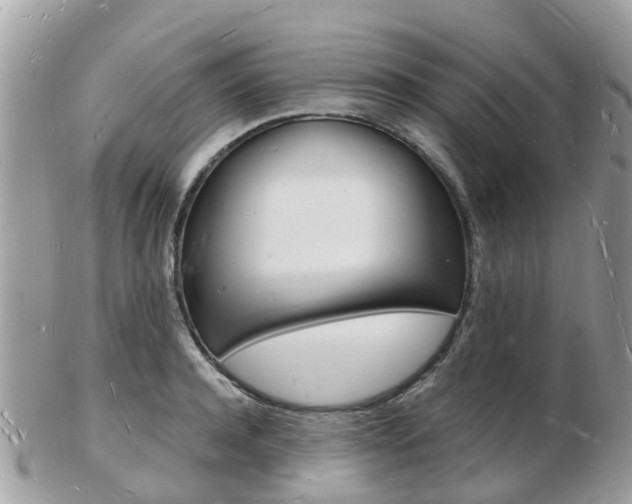 X0000103290944200808291105