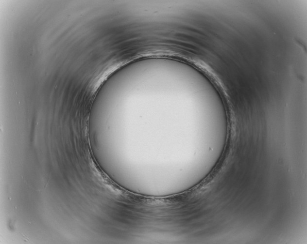 X0000103290945200808291105