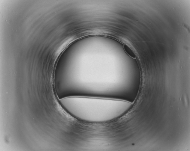 X0000103290946200808291105