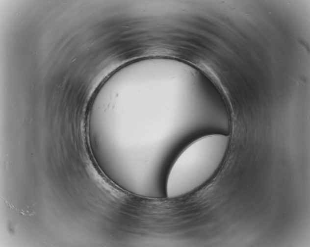 X0000103290947200808291105