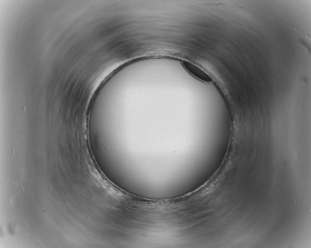 X0000103290948200808291105