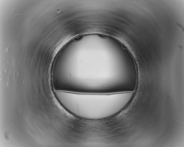 X0000103290949200808291105