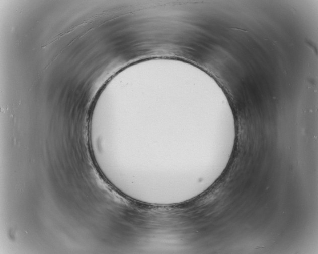X0000103290950200808291105