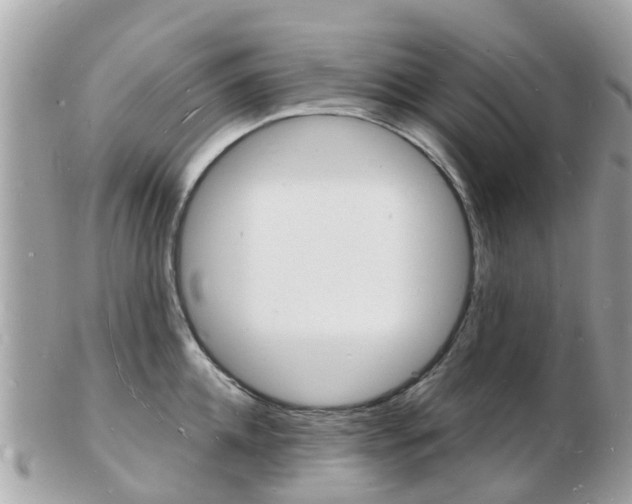 X0000103290952200808291105
