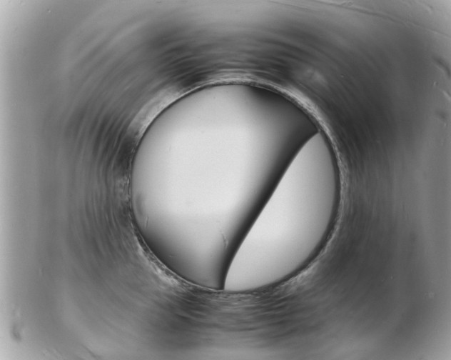 X0000103290953200808291105