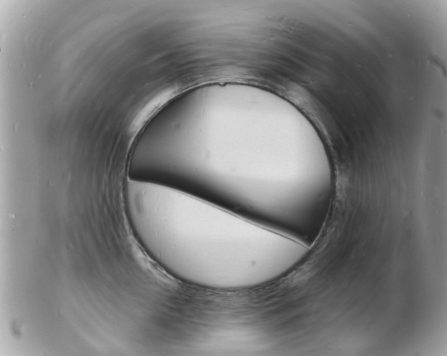 X0000103290954200808291105