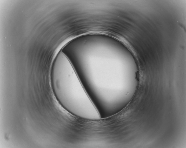 X0000103290955200808291105
