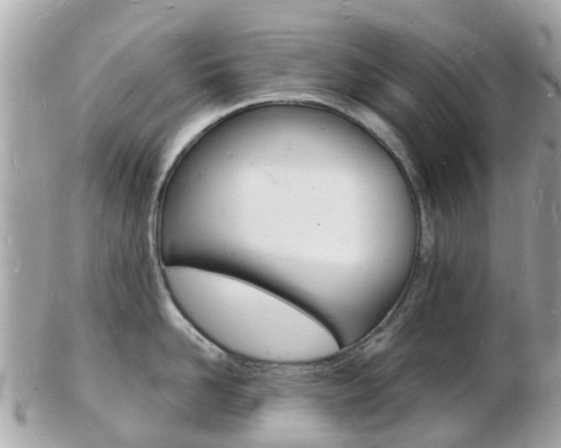 X0000103290958200808291105