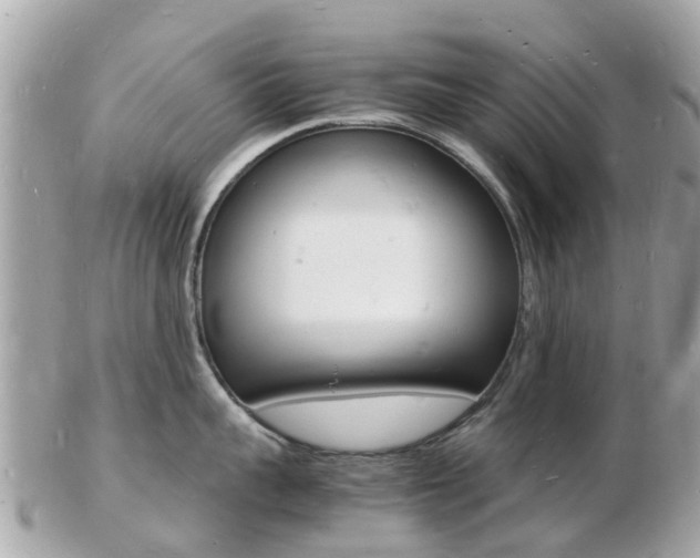 X0000103290959200808291105