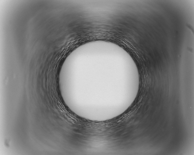 X0000103290961200808291104