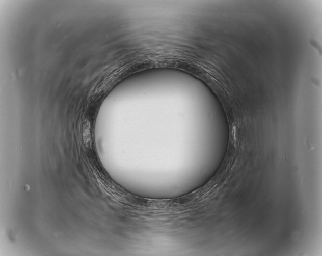 X0000103290963200808291104