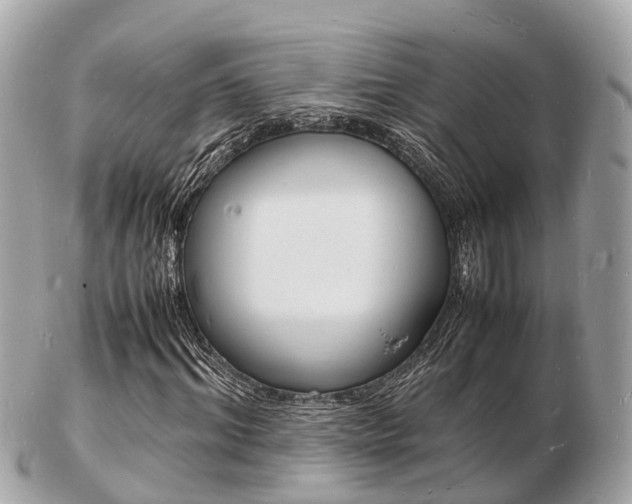 X0000103290964200808291104
