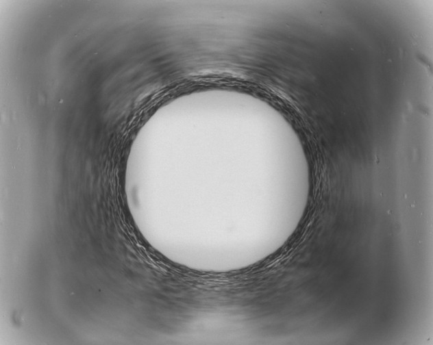 X0000103290965200808291104