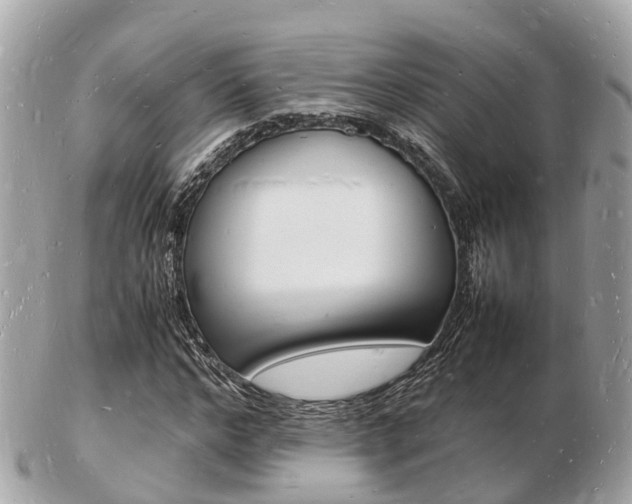 X0000103290968200808291104