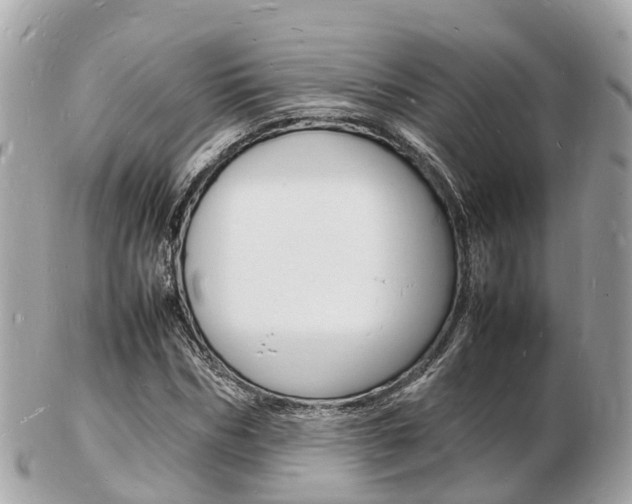 X0000103290970200808291104
