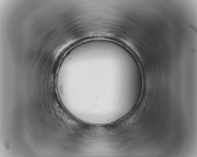 X0000103290971200808291104