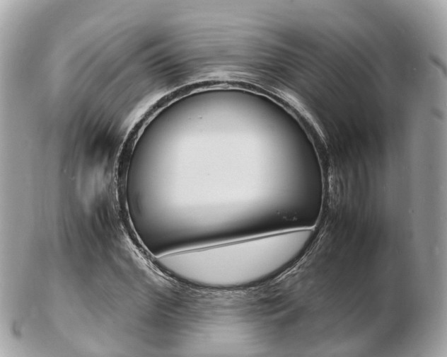 X0000103290972200808291104