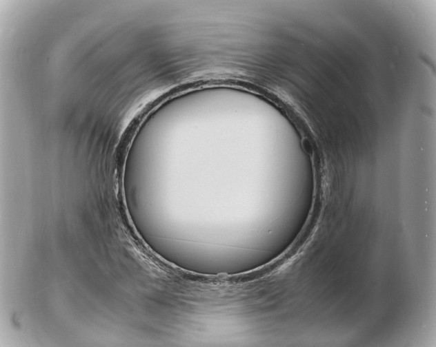 X0000103290973200808291104