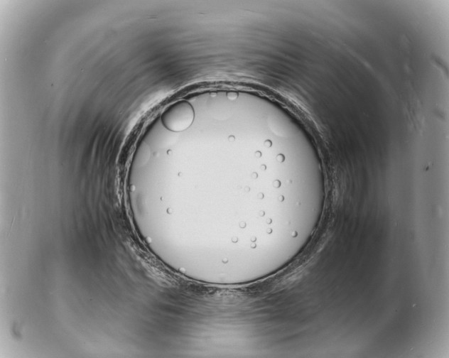 X0000103290974200808291104