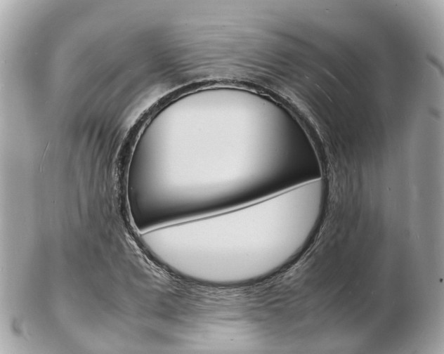 X0000103290975200808291104