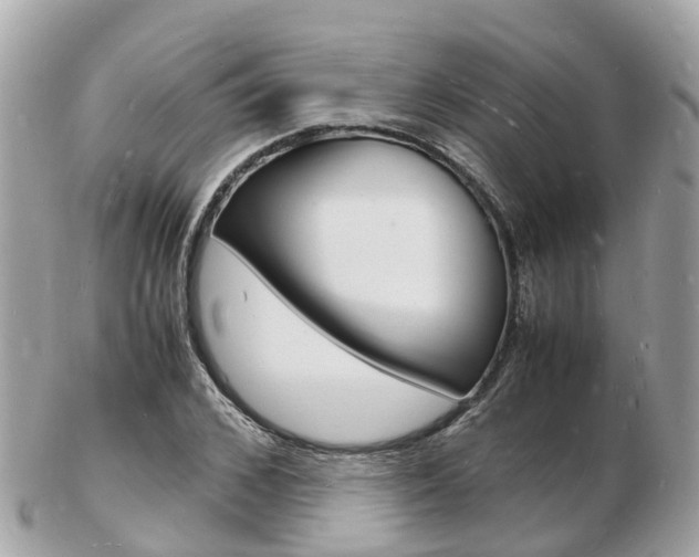 X0000103290976200808291104