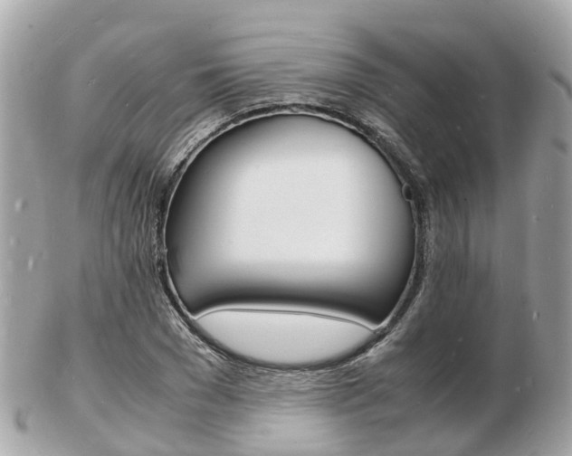 X0000103290977200808291104