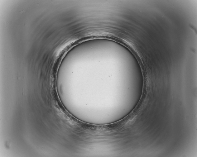 X0000103290979200808291104