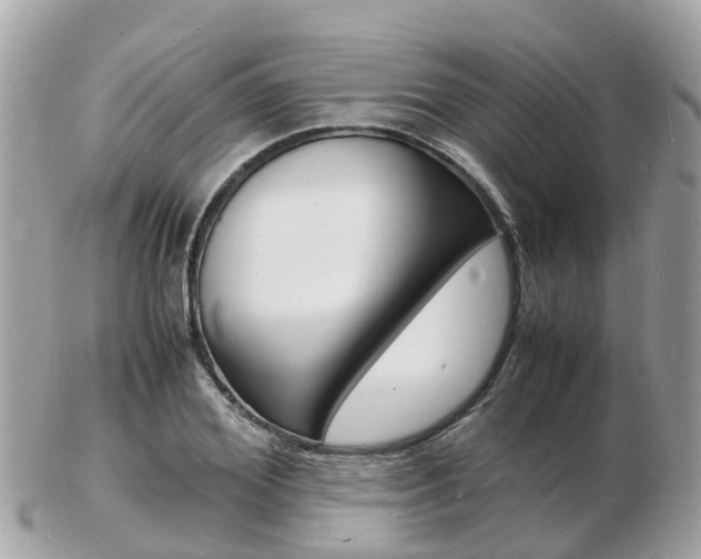 X0000103290980200808291104