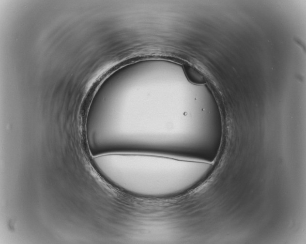 X0000103290981200808291104
