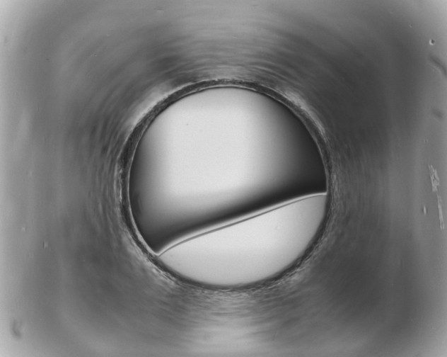 X0000103290983200808291104
