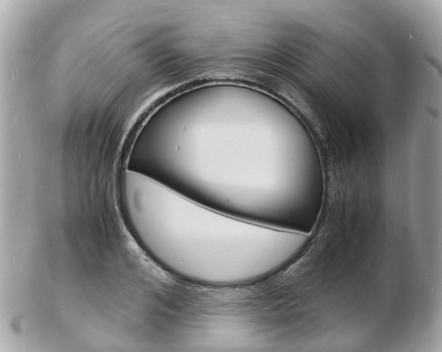 X0000103290984200808291104