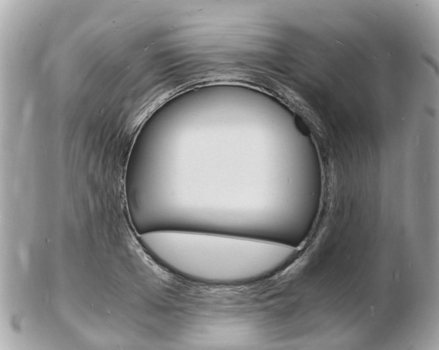 X0000103290985200808291104