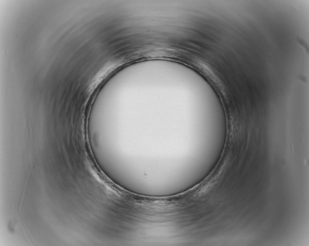 X0000103290986200808291104
