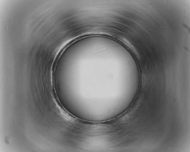 X0000103290988200808291104