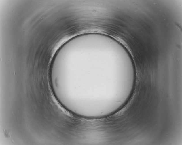 X0000103290989200808291104
