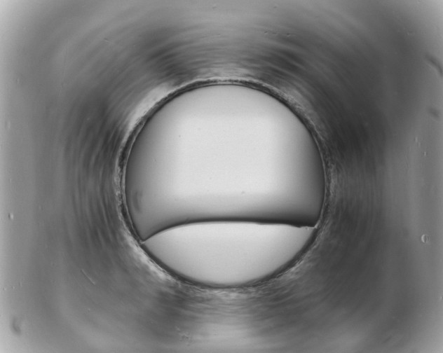 X0000103290990200808291104