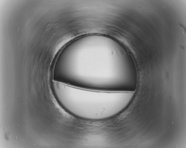 X0000103290991200808291104