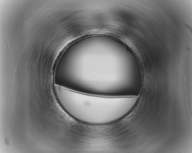 X0000103290992200808291104