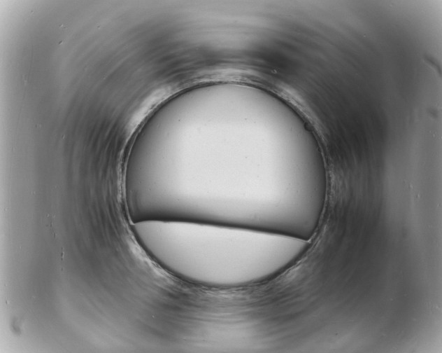 X0000103290994200808291104