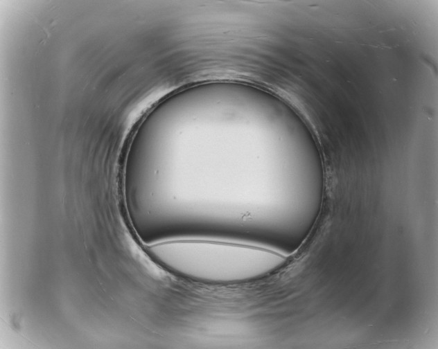 X0000103290995200808291104
