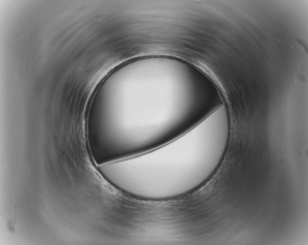 X0000103290996200808291104
