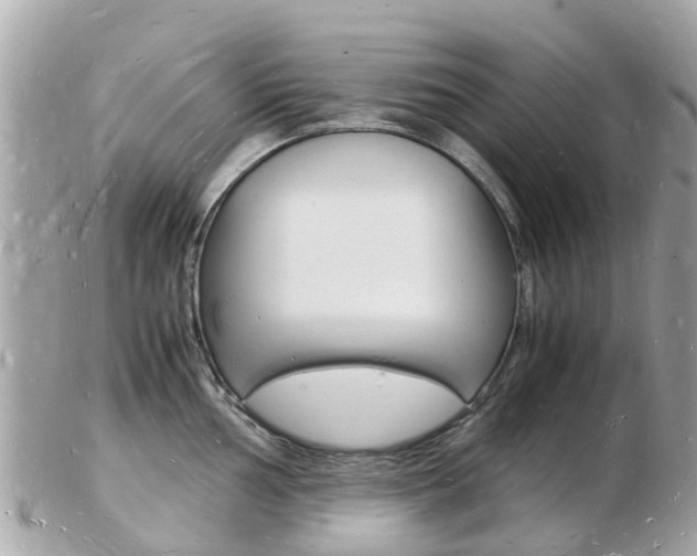 X0000103291002200808291104