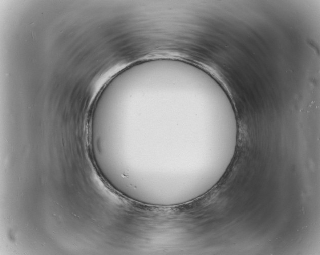 X0000103291003200808291104