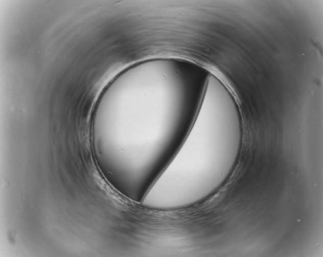 X0000103291004200808291104