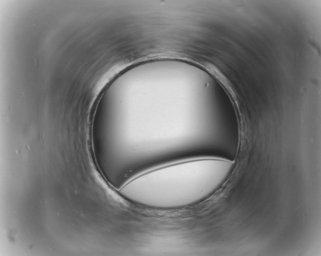 X0000103291005200808291104