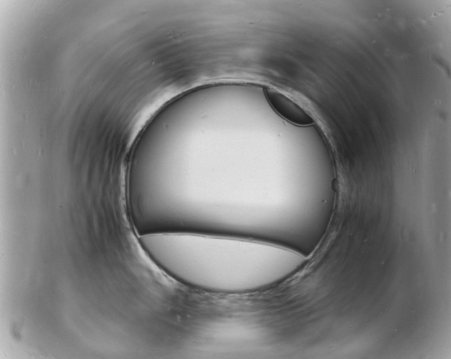 X0000103291006200808291104